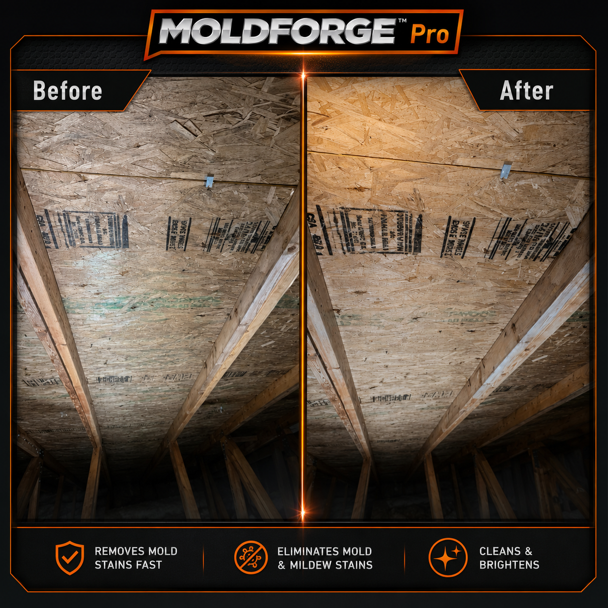 MoldForge™ Pro Mold & Mildew Stain Remover – 3.78 L / 1 US Gallon