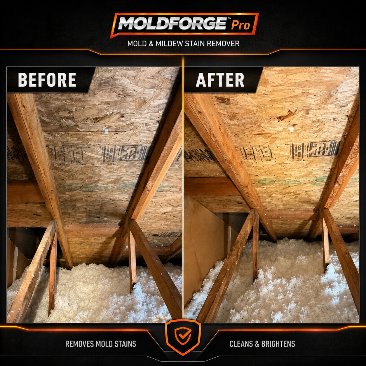 MoldForge™ Pro Mold & Mildew Stain Remover – 3.78 L / 1 US Gallon